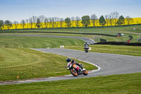 Lower Group Orange Bikes